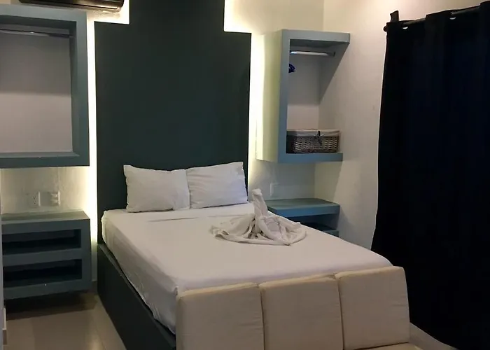 Estudios 56